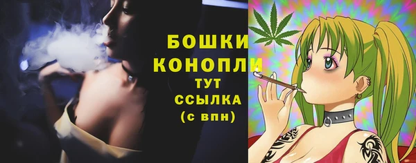 МДПВ Богданович