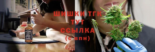 jwh Богородицк