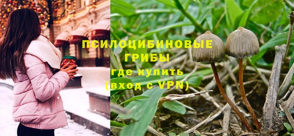 МДПВ Богданович