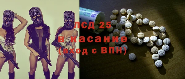 шишки Белокуриха